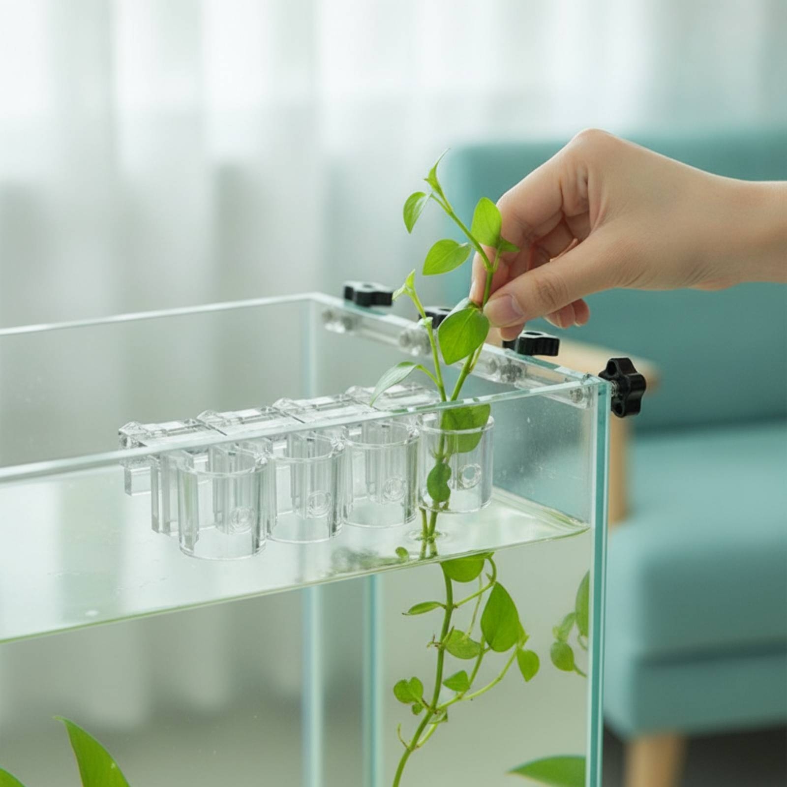 Aquarium Plant - Набор из 6 прозрачных гидропонных держателей