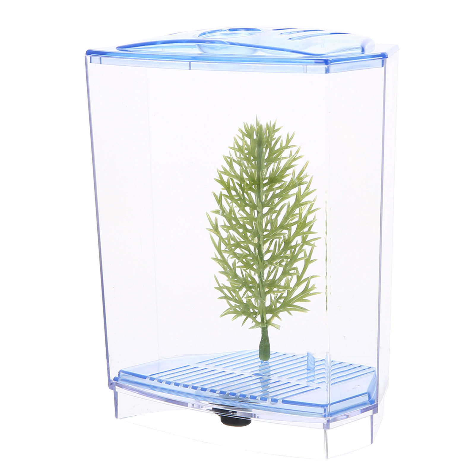 Aquarium Plant Live - Мини-аквариум из прозрачного пластика для рабочего