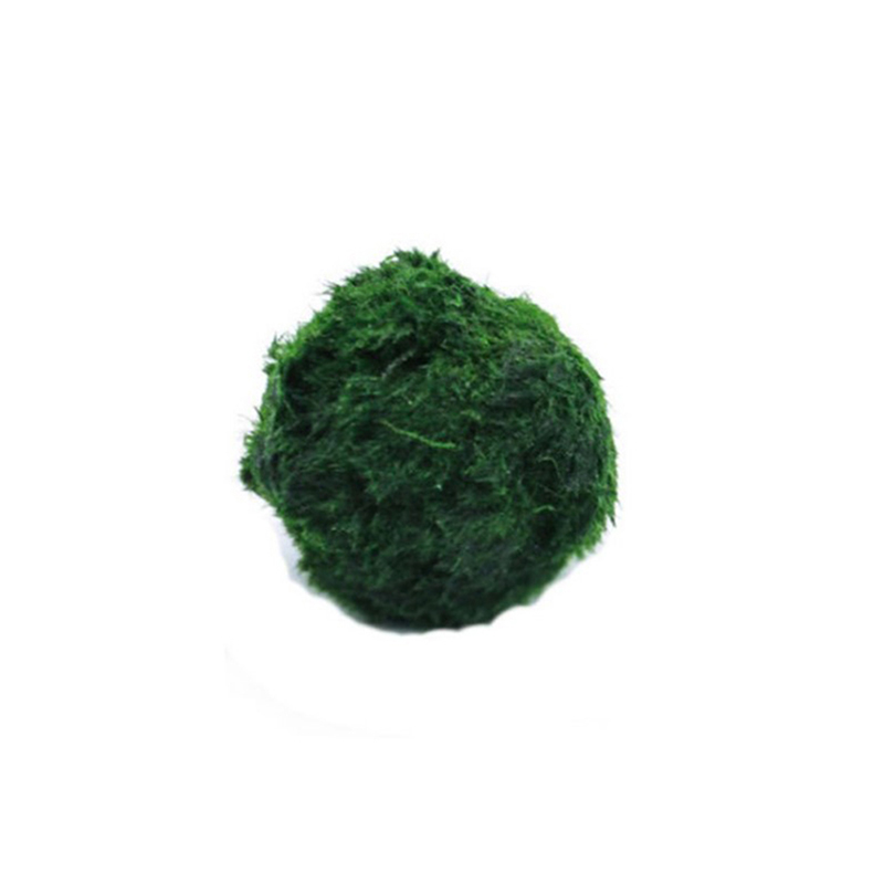 Aquarium Plant Live - Шарики из мха Marimo, живое аквариумное