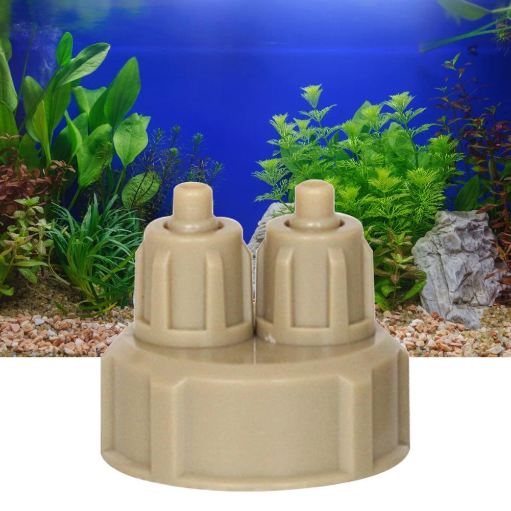 Генератор CO2 для аквариума: к – обзор и цена Aquarium Plant Live