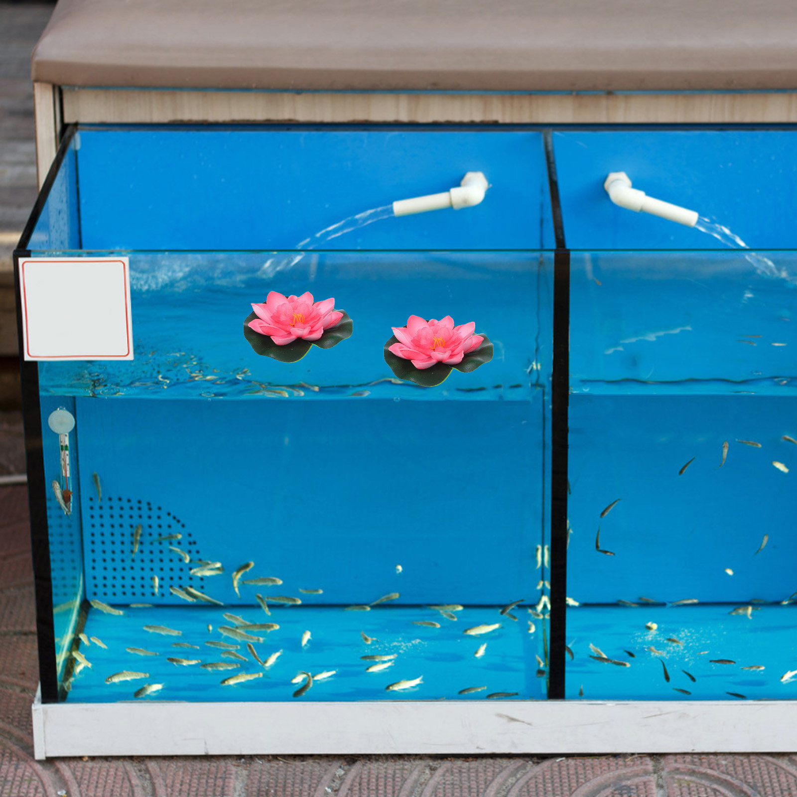 12 шт. искусственных плавающих – обзор и цена Aquarium Plant