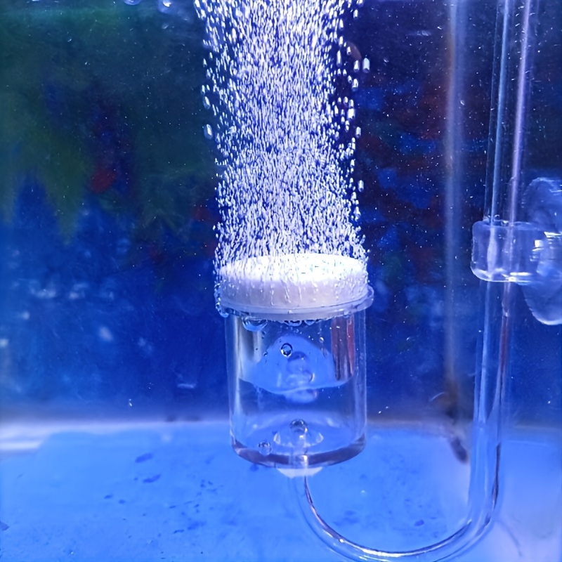 Аквариумный стеклянный распыли – обзор и цена Planted Aquarium Co2