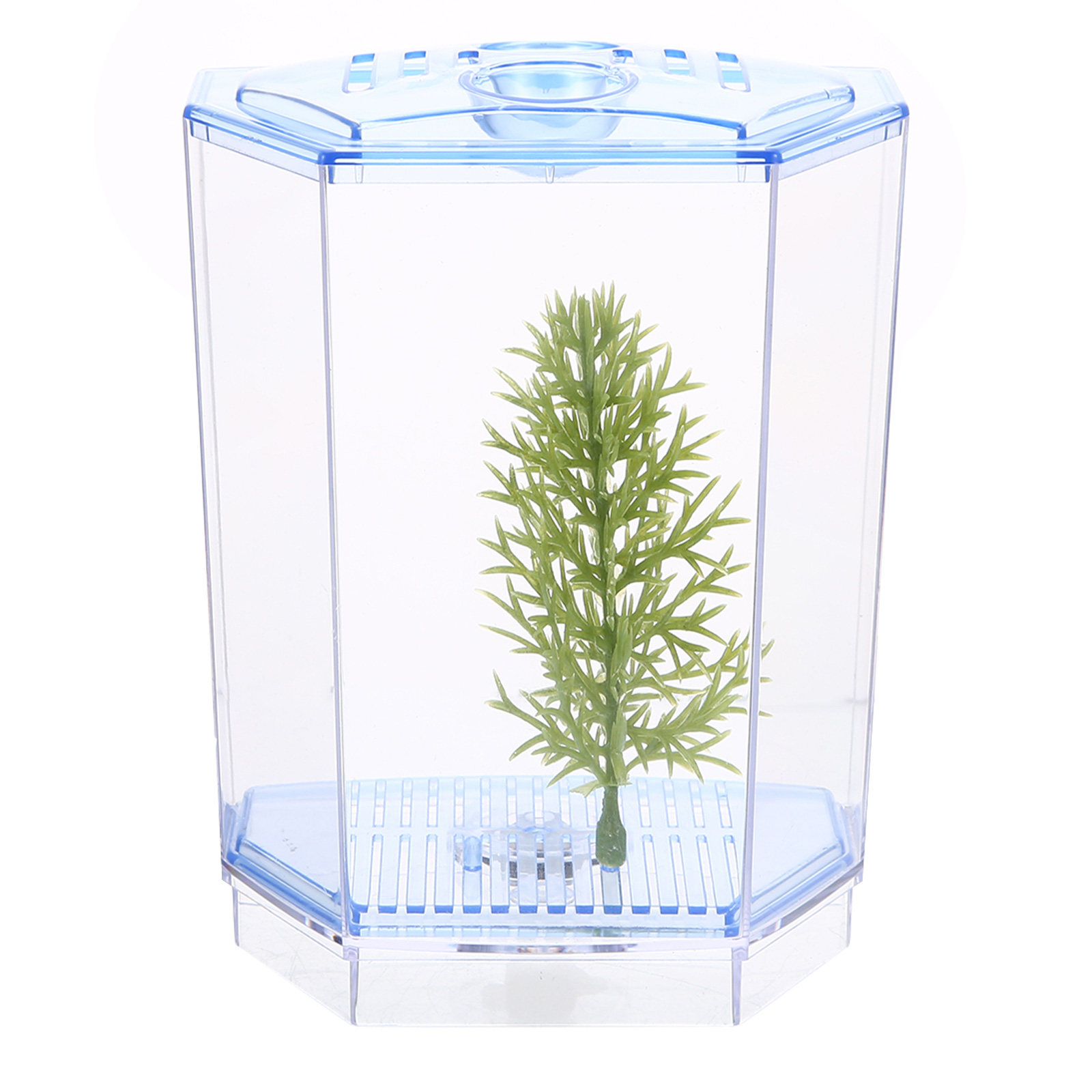 Мини-аквариум из прозрачного п – обзор и цена Aquarium Plant Live