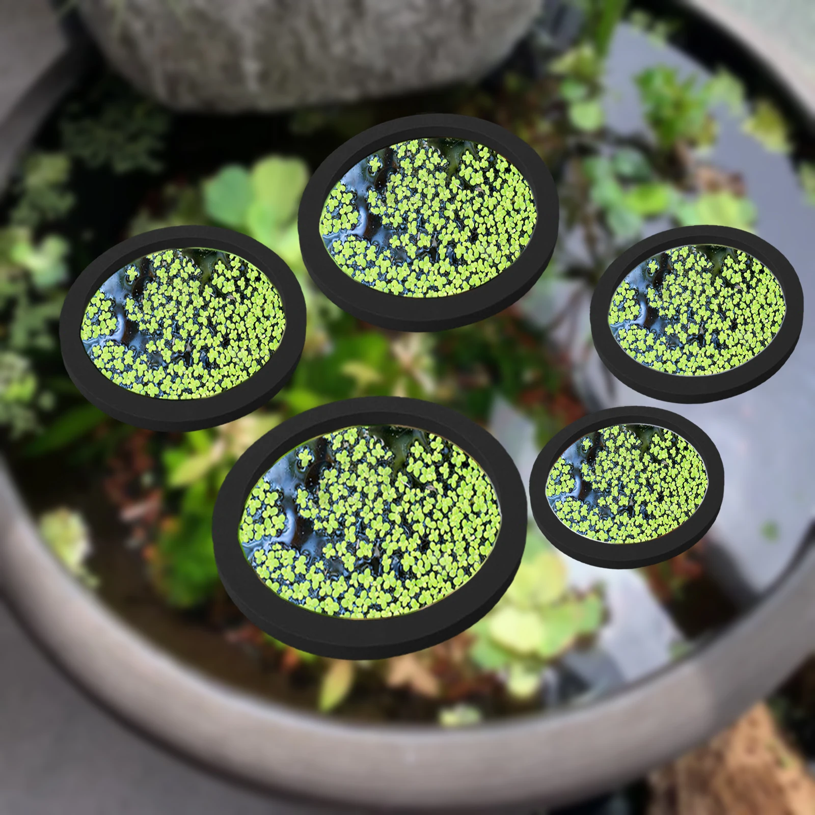 5 шт., кольцо для кормления ры – обзор и цена Aquarium Plant