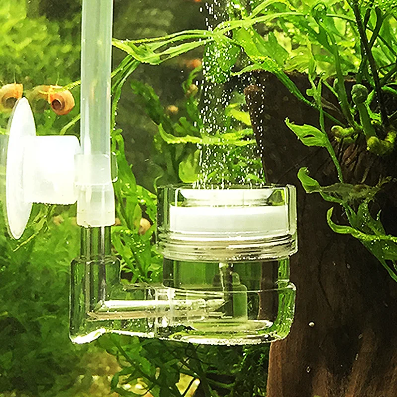 Аквариум 4 в 1, диффузор CO2,  – обзор и цена Aquarium Plant Live