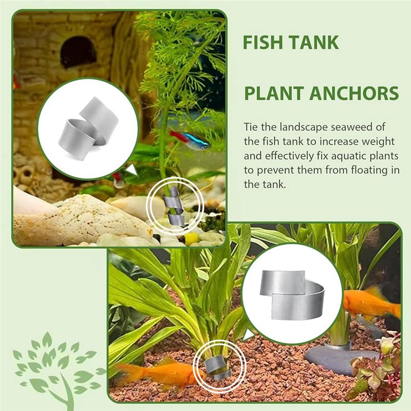 Крепежное кольцо LLCS для аква – обзор и цена Aquarium Plant Live