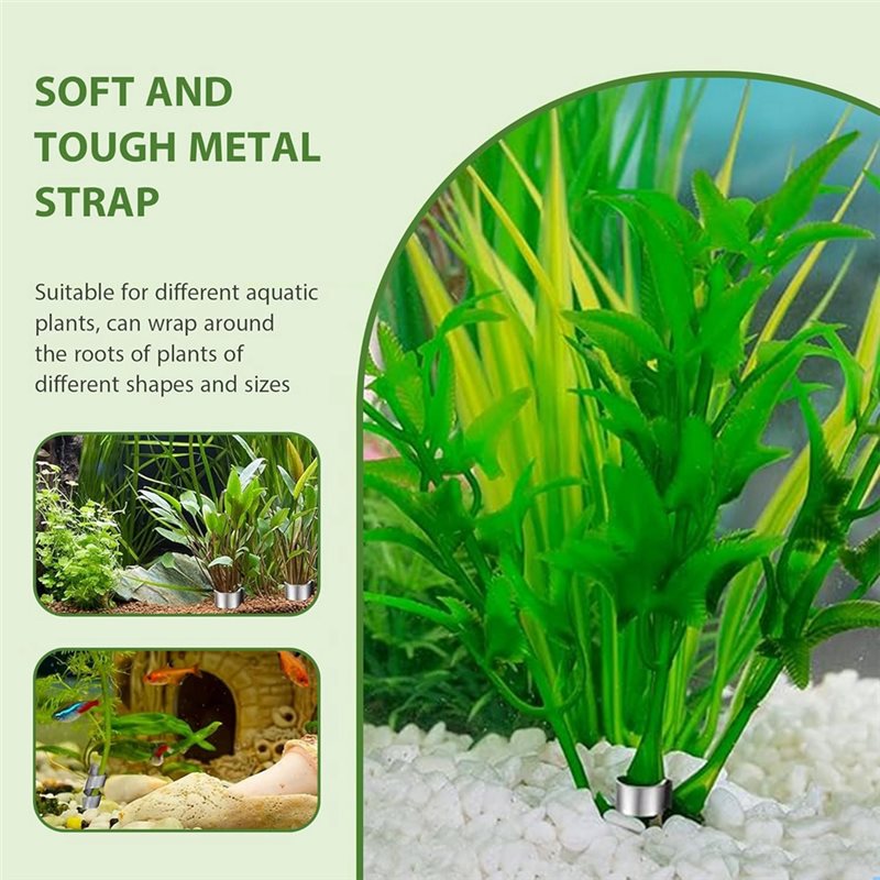 Крепежное кольцо LLCS для аква – обзор и цена Aquarium Plant Live