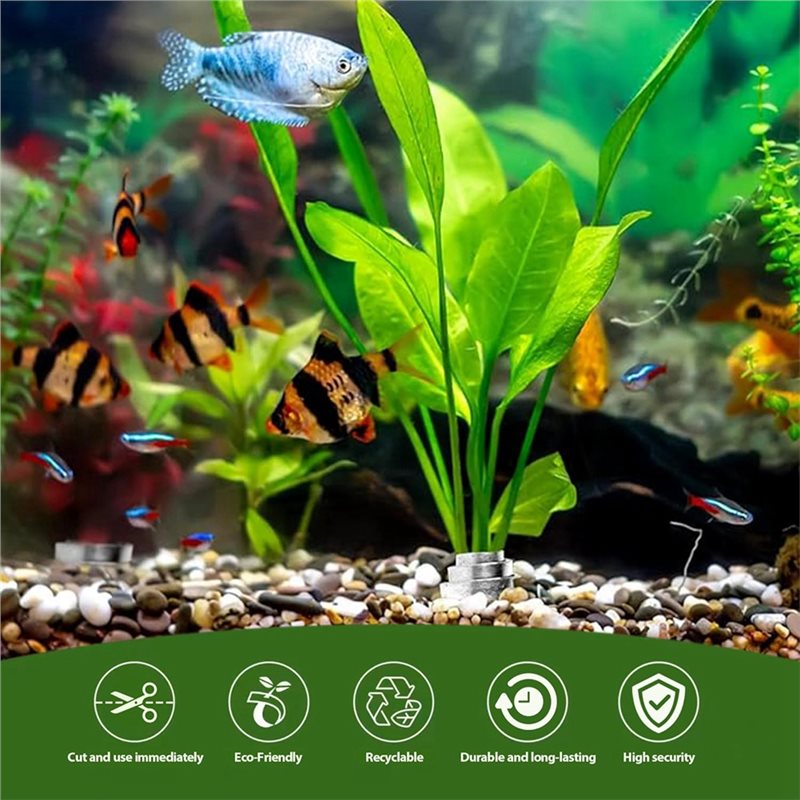 Крепежное кольцо LLCS для аква – обзор и цена Aquarium Plant Live